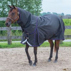 Canadian Horsewear Prince Diablo 300gm - Liner Compatible 