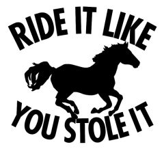 Ride It Like You Stole It Sticker