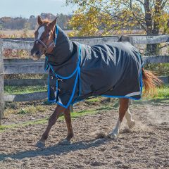 Canadian Horsewear SEAPORT Diablo Turnout 300 gm - Free Tail Cord