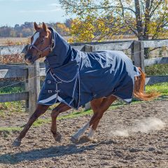 Canadian Horsewear SYMPHONY Diablo Storm 160 gm - Free Tail cord