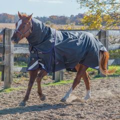 Canadian Horsewear Prince Diablo 160gm - Liner Compatible