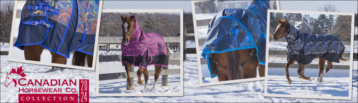 Canadian Horsewear Collection 2024 - Winter Blankets and Rainsheets