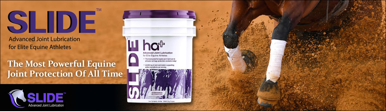 HA Slide Equine Advanced Joint Lubrication